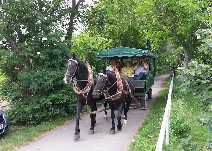 Grober's Reiterhof Naumburg (Saale)